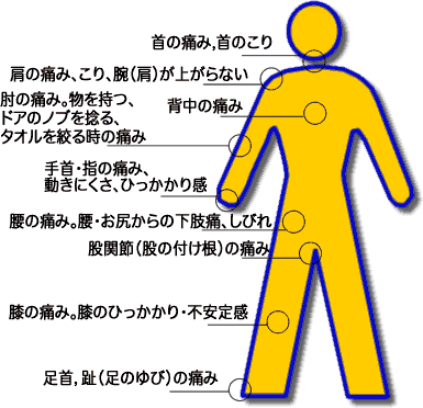 名古屋市中川区山王 こいで整形外科 整形外科とは